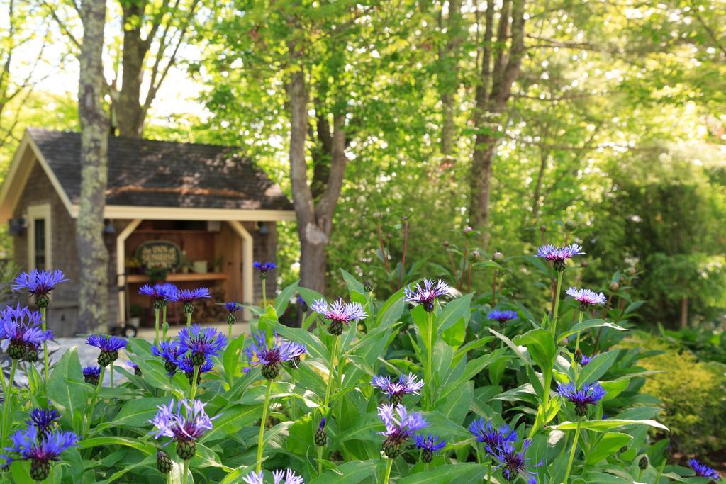 Inn At Sunrise Point Линкълнвил Екстериор снимка
